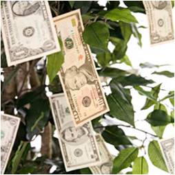 money-tree